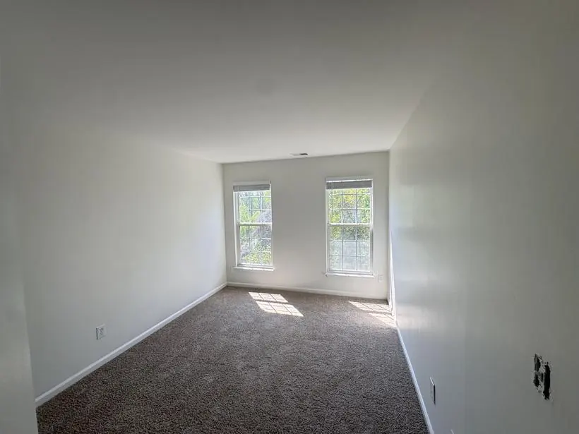 Bedroom — cut lines at ceiling and base — whole-home repaint by Vibrant Painting, Greenville SC
