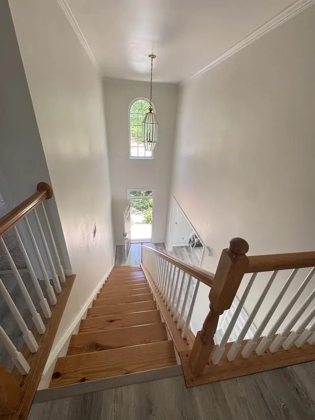Entry — doors, casing, and baseboards — whole-home repaint by Vibrant Painting, Greenville SC