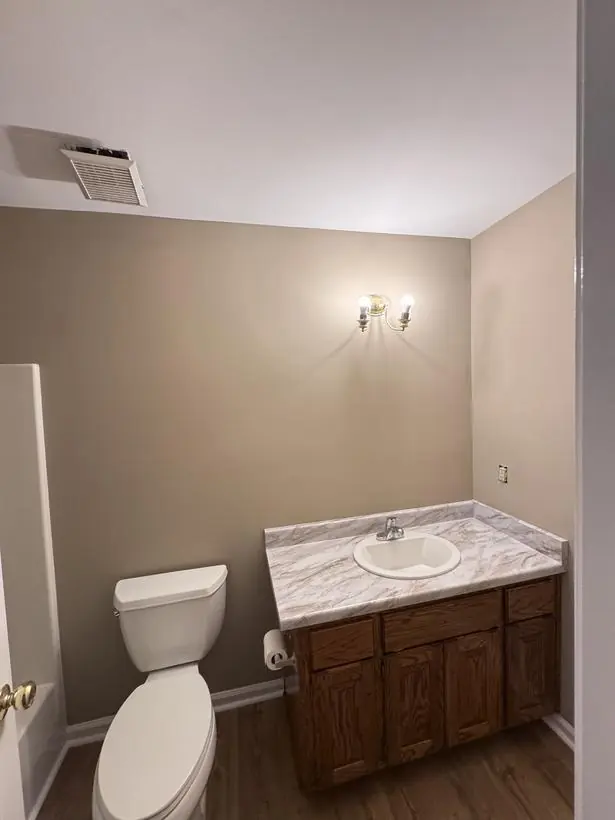 Bathroom — walls, ceiling, and trim — interior repaint by Vibrant Painting, Greenville SC